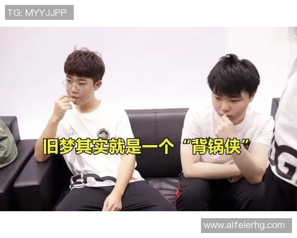 EDG战队反击策略深度分析与实战应用探讨